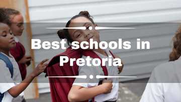 15 best schools in Pretoria: private, high, nursing, primary, secondary