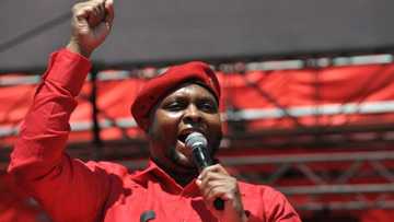 COP 26: Floyd Shivambu wants Ramaphosa to reject green deal, SA asks how long coal mining will continue