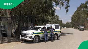 Nhlanhla Mkhwanazi suspends SAPS officers for misusing van for matric farewell