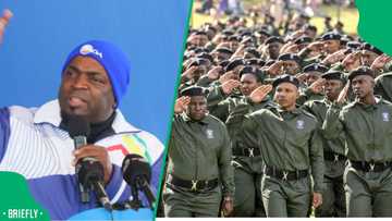 Democratic Alliance questions legitimacy of 9,000 AmaPanyaza peace officers in Gauteng