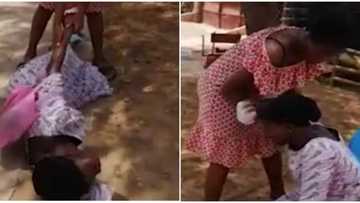 Emotions run high as woman falls flat in tears as she meets her missing child for the 1st time after 7 years