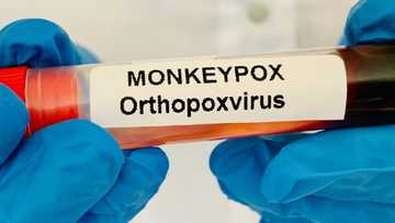 1st case of monkeypox detected in South Africa, patient did not travel abroad