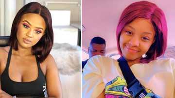 Mzansi netizens question Babes Wodumo's alleged new Twitter account: "This fake account is growing fast"