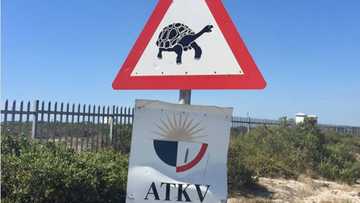 Meaning of road signs in South Africa