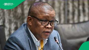 SANDF deployment to combat illegal mining supported by law, says committee chair