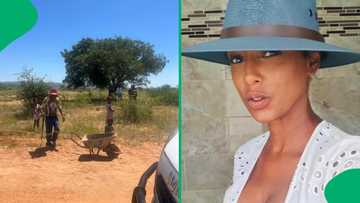 "Let's grow South Africa together": Americans get gifted land in SA, Mzansi feels optimistic