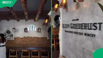 "The scenery is beautiful": UK woman shows inside of first black-owned wine farm in Western Cape