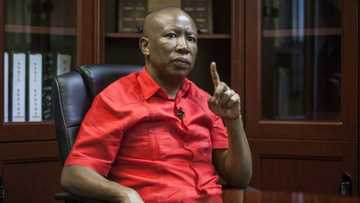 Hashtag #IfWeAllSpokeLikeJulius trends as Mzansi reflects on Malema