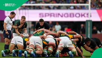 Rassie Erasmus’ loyalty to old guard could cost Springboks at 2027 World Cup