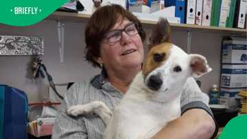 “She was also a friend”: NSPCA mourns Annette Rademeyer after 25 years in animal welfare