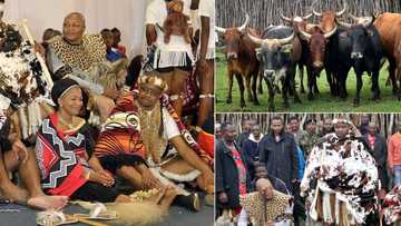 “Don't propose without the money”: Lobola debate sparked online, Mzansi shares their views on the tradition