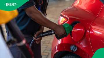 Motorists face more relief as early data predicts fuel price drop for November