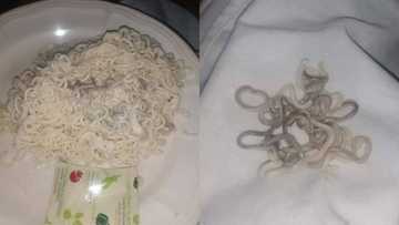 Pictures of dodgy looking instant noodles leave a bad taste in South Africans' mouths