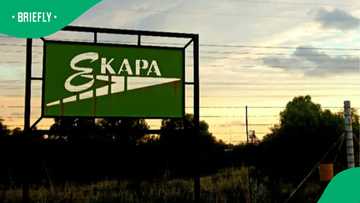 All five miners trapped in Kimberley's Ekapa Mine successfully recovered after mudslide