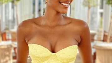 Yass queen: Miss SA Shudufhadzo Musida wants to be president, SA stans