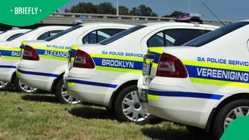 Soweto councillor calls on SAPS to provide officers with counselling after member kills girlfriend