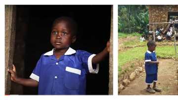 6-Year-old maths genius receives educational sponsorship from abroad