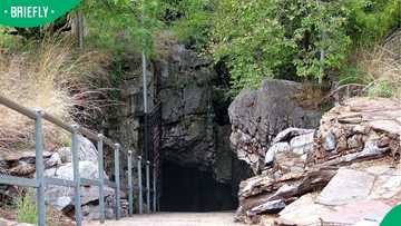 1 of SA’s most-visited heritage destinations: Cost of take family to Sterkfontein Caves in 2026
