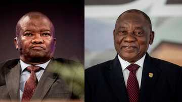 Bantu Holomisa suggests interim government so ANC can fix "infighting"