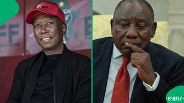 "Why should we subject criminals to commissions": Malema slams Ramaphosa for protecting Mchunu