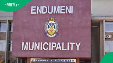 Endumeni Municipal Manager in KwaZulu-Natal resigns amid security tender saga, SA not surprised