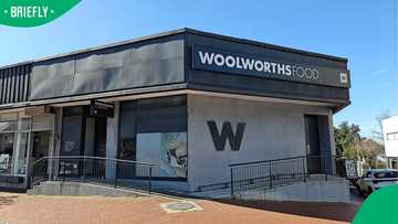 "Never depend on one client": SA calls Woolies a bully as Beyers liquidation leaves hundreds jobless