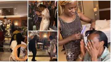 So beautiful: Siblings organize surprise white wedding for their parents who never had it in video