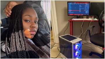Brilliant lady builds home computer by herself, shares photo online