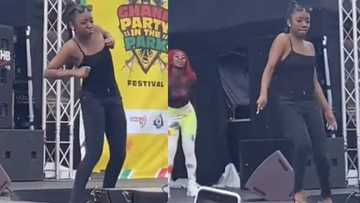 Young lady's fast dance from Ghana Party in the Park in London goes viral
