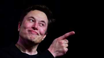 Musk vows interface implants in human brains within six months