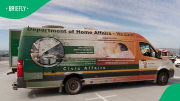 SIU exposes Home Affairs visa fraud syndicate funnelling millions to officials