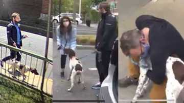 Man accused of stealing dog bumps into TV crew reporting on its disappearance