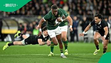 Former Springboks coach Nick Mallett urges patience with Aphelele Fassi
