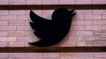 Twitter suffers major outage disabling external links
