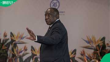 Ramaphosa objects to appointment of Thandazani Madonsela as evidence leader of impeachment committee