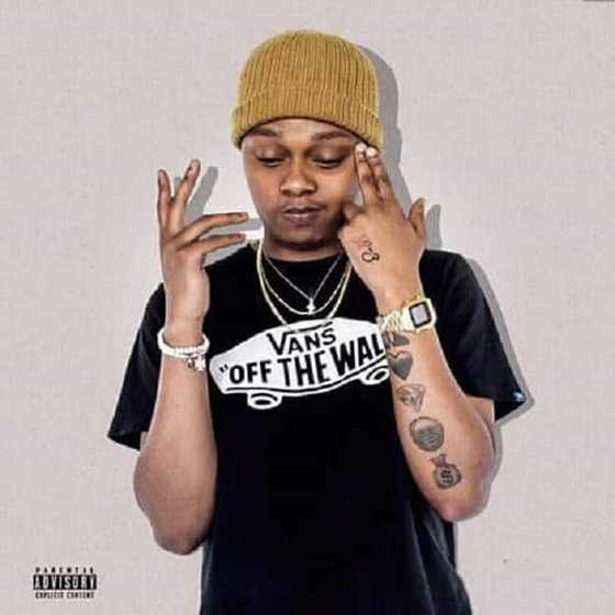 A-Reece biography: age, girlfriend, songs, new album, cars, houses, net ...