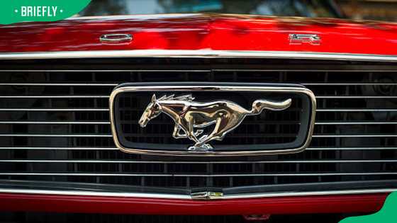 Top 11 cars with horse logos: the ultimate list for auto fans - Briefly ...