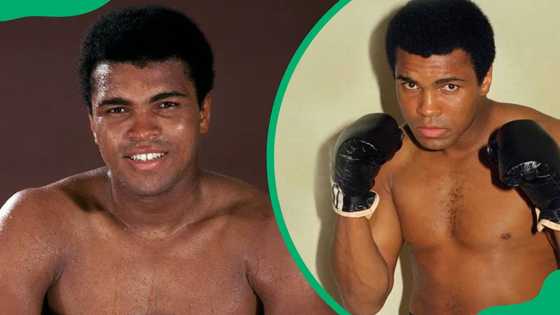 25 famous people who changed the world and impacted history - Briefly.co.za