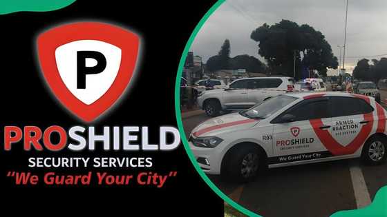 Top 40 security companies in South Africa in 2024: services and ...