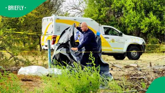 Bloemfontein Police Uncover Body of Missing Woman in Shallow Grave on ...