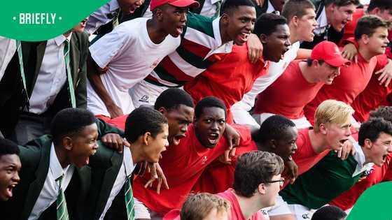 Springboks Rugby Fans Rave About Schoolboy Matches, 'Gets More ...