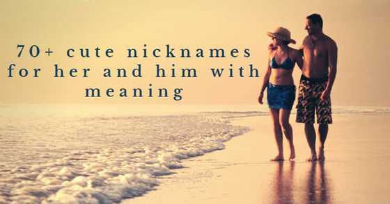 70+ cute nicknames for her and him with meaning - Briefly.co.za