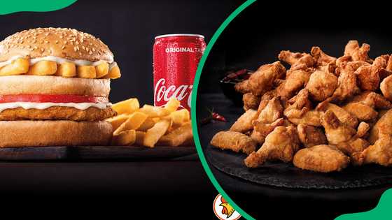 Chicken Licken's menu and latest prices in South Africa (2026 ...
