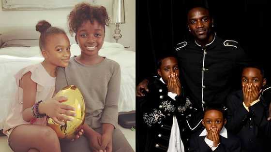 Acon Rapper Kid Meet Tomeka Thiam, Akon's legal wife: everything we know about her ...