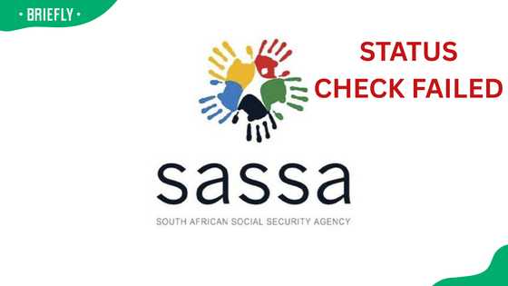 SASSA status check failed: common causes and quick solution - Briefly.co.za