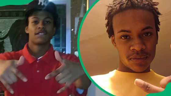 The tragic story of Tooka: Who he was and how he died - Briefly.co.za