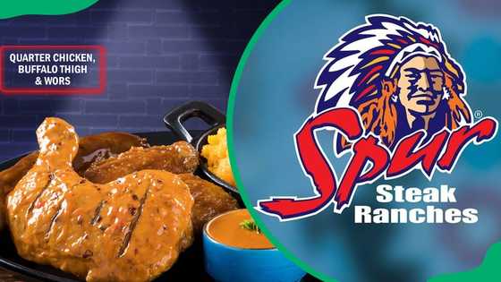 South Africa Spur menu and prices (Updated for 2025) - Briefly.co.za