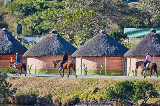 All about Xhosa culture: cuisine, traditions, history, and attire ...