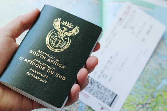 ID and passport applications at FNB and other banks in 2024: detailed ...