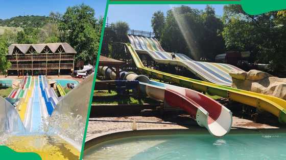 Best Things To Do In Centurion Parks Markets Hidden Gems Briefly best-things-to-do-in-centurion-parks-markets-hidden-gems-briefly